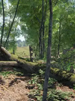 SCUM walkthrough and guide