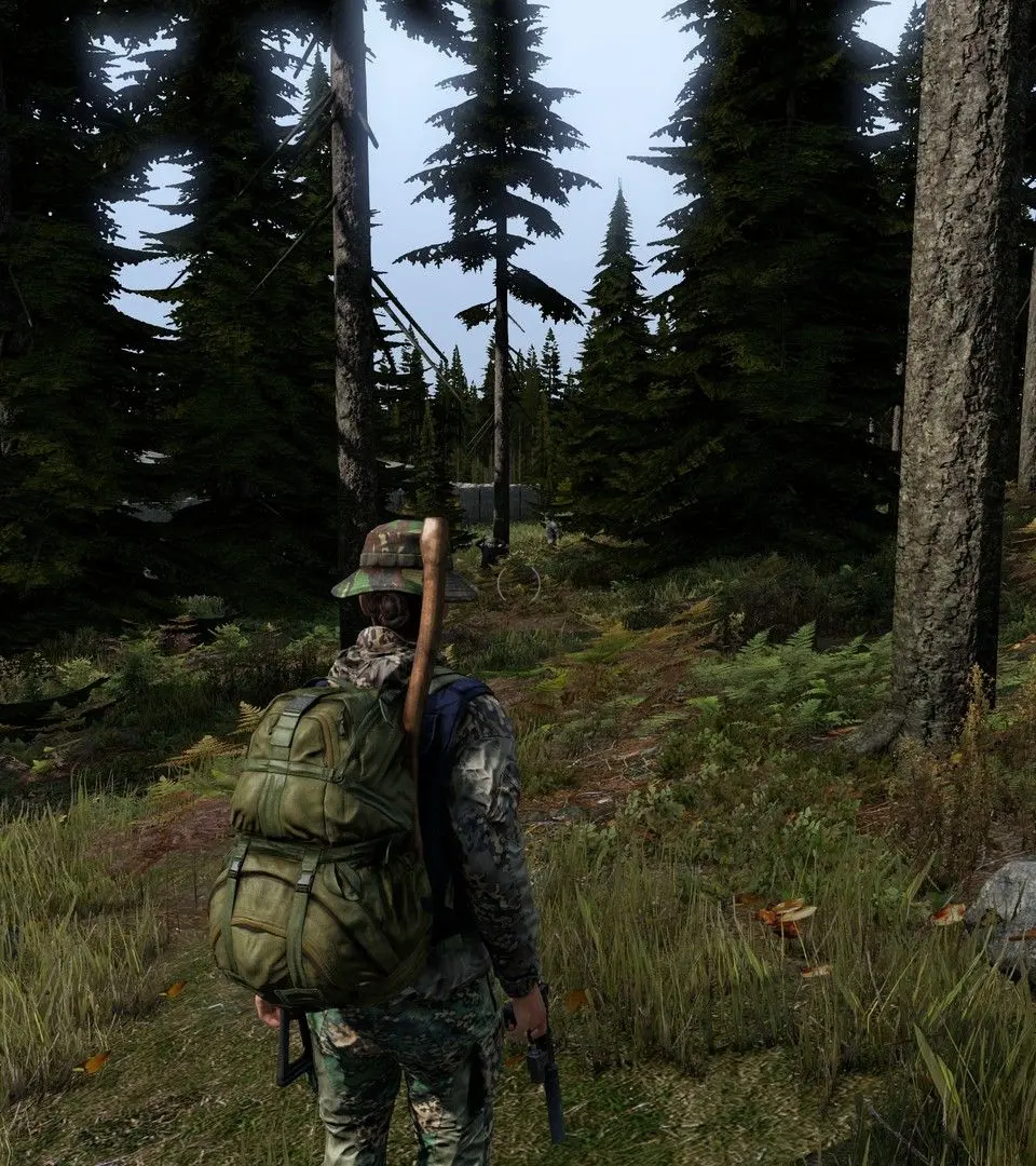 Walkthrough