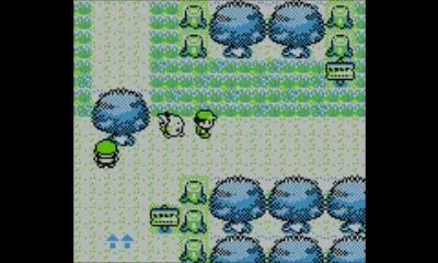Route 3 & Mt. Moon