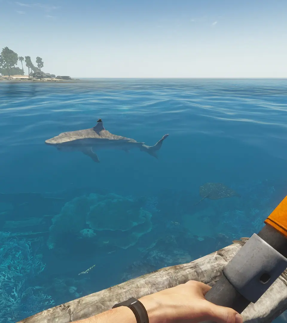 Modding & Community Content