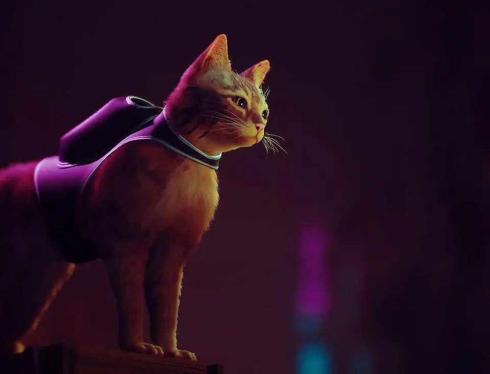 Easter Eggs & References