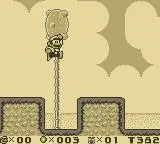 Mario Zone